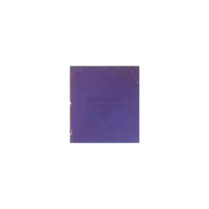 iPhone Audio Codec - 338S00105